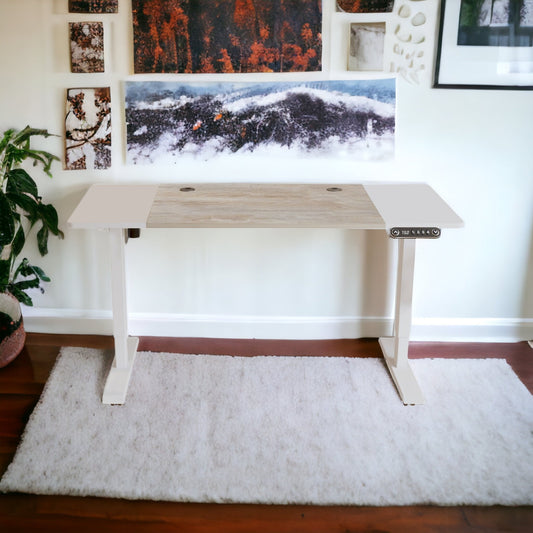 Donovan Adjustable White Standing Desk